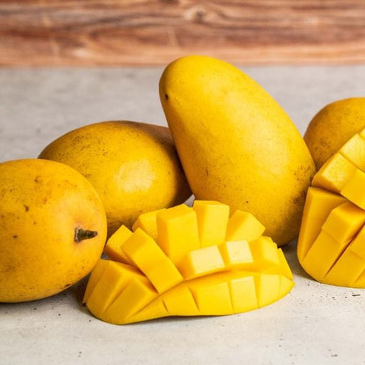 MANGO