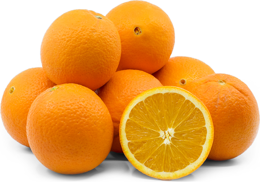 ORANGE NAVAL