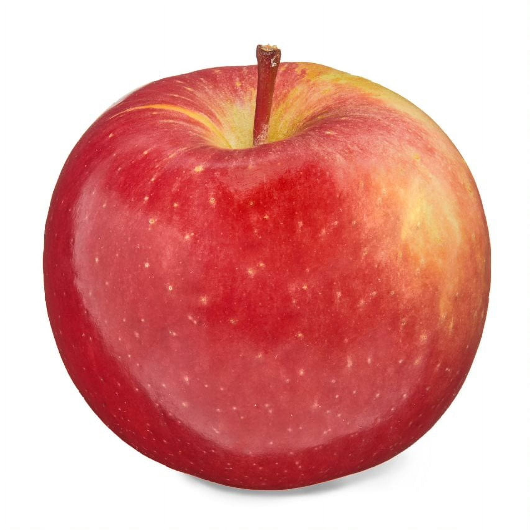 APPLE FUJI SINGLE