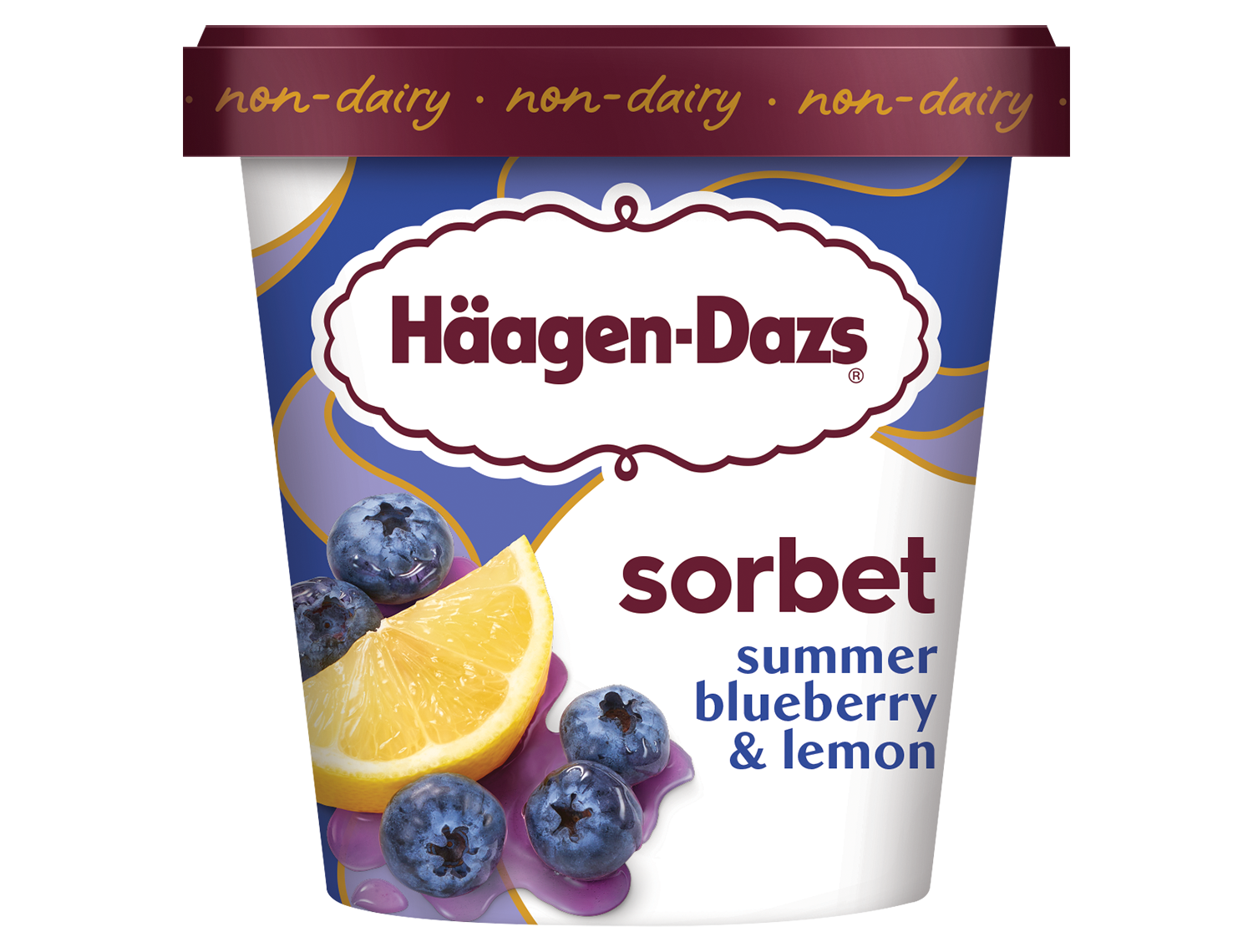 HAAGEN DAZS SORBET SUMMER BLUEBERRY & LEMON