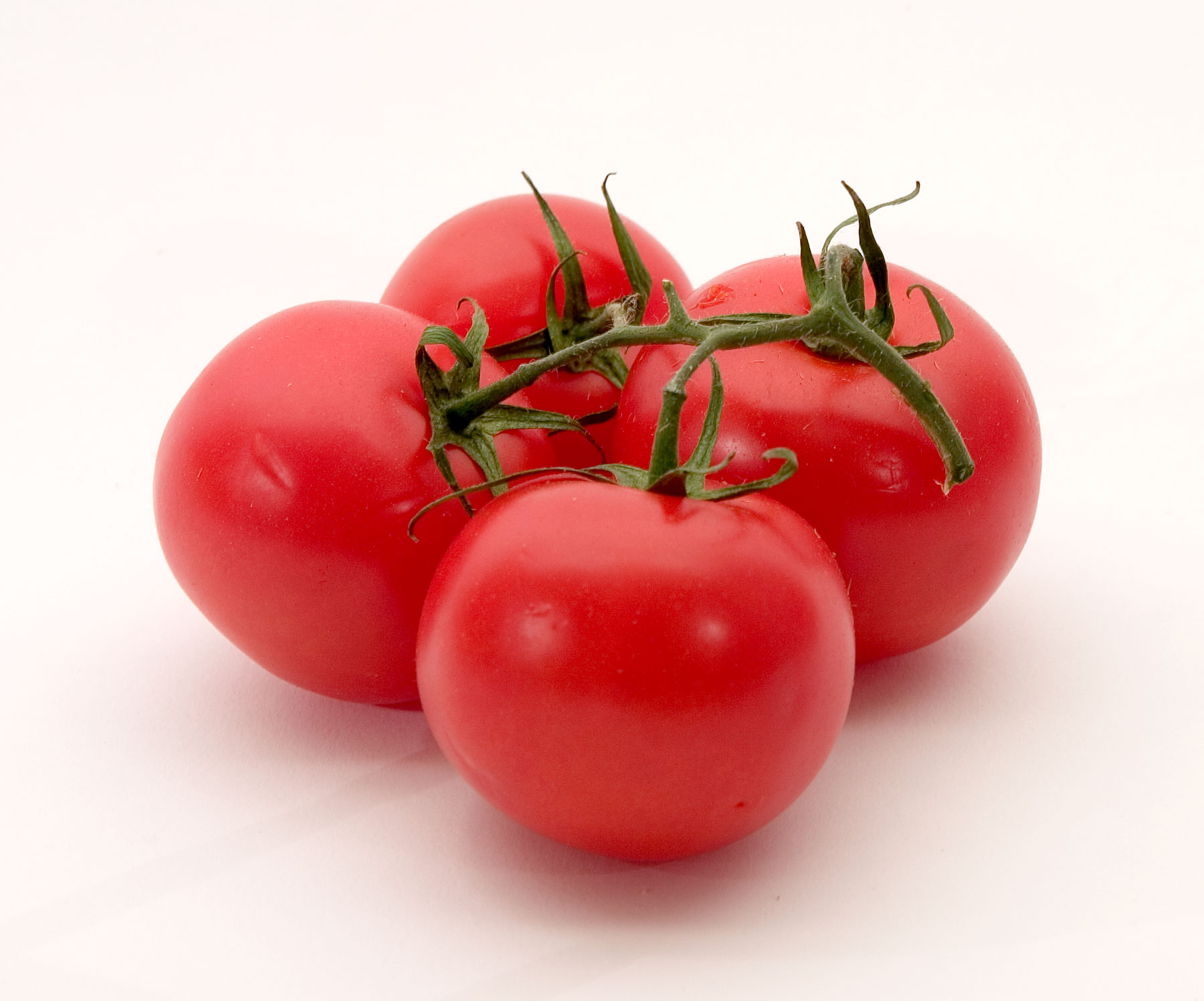 TOMATOES