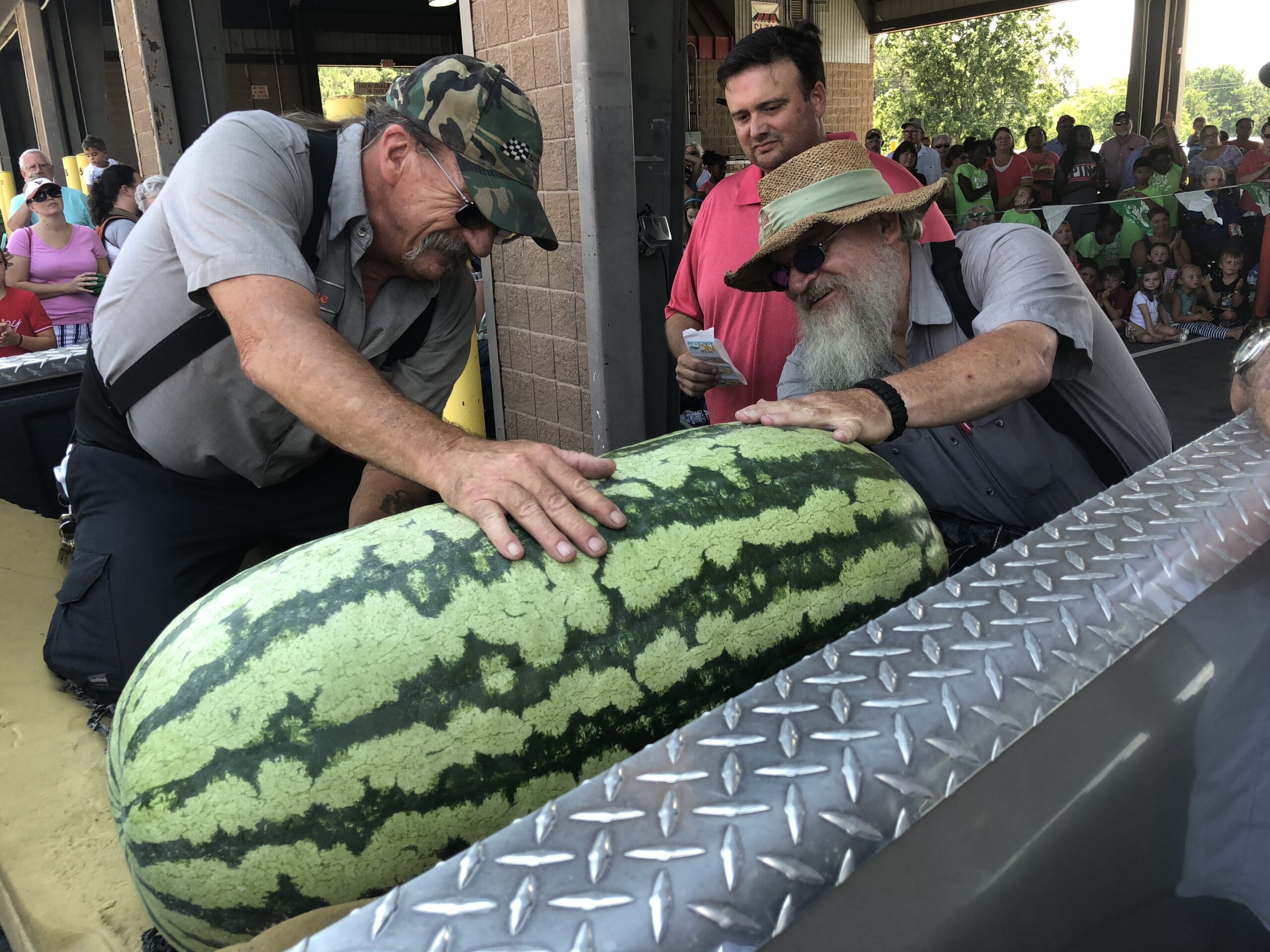 WATERMELON LARGE