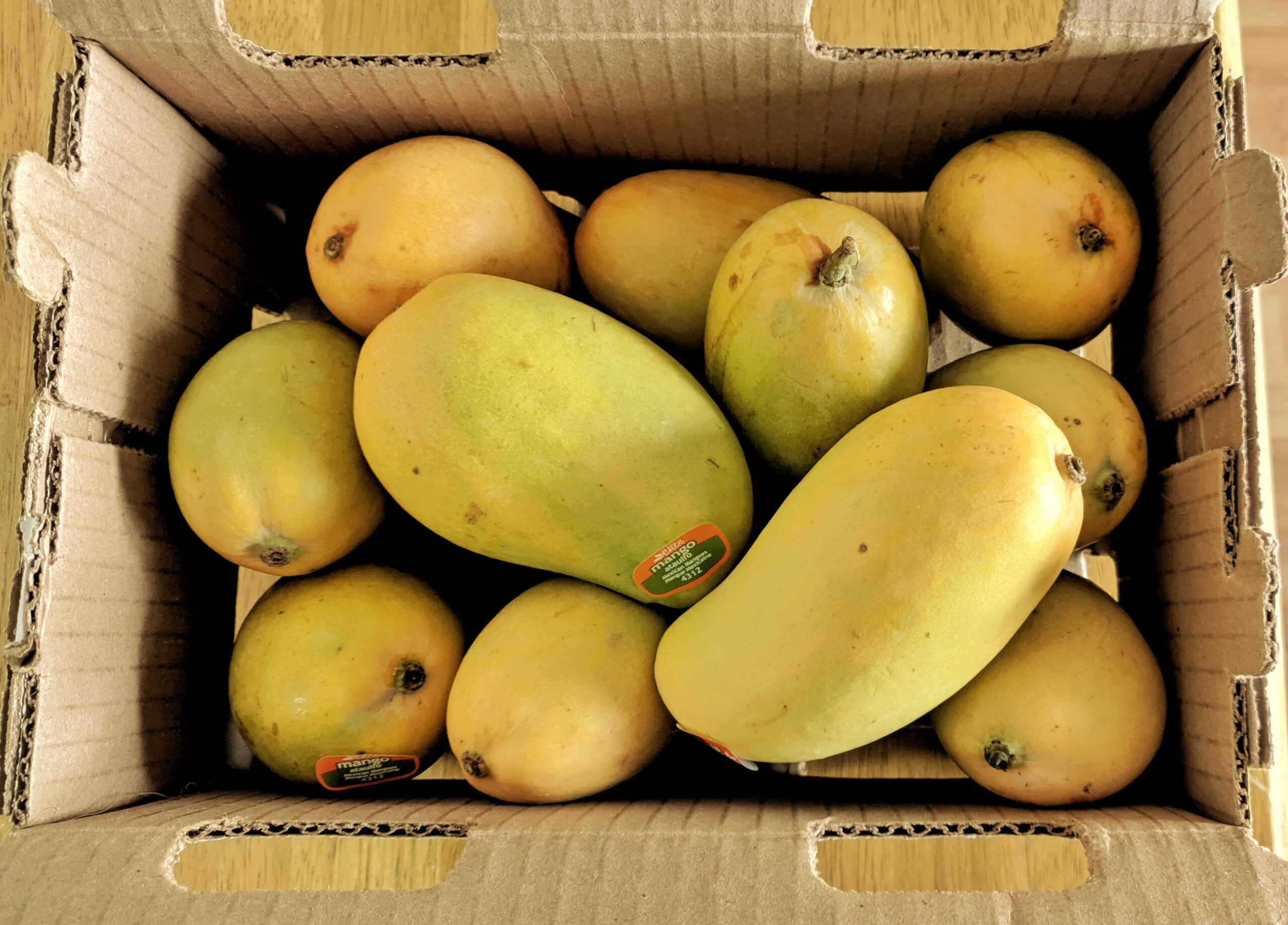 MANGO ATAULFO