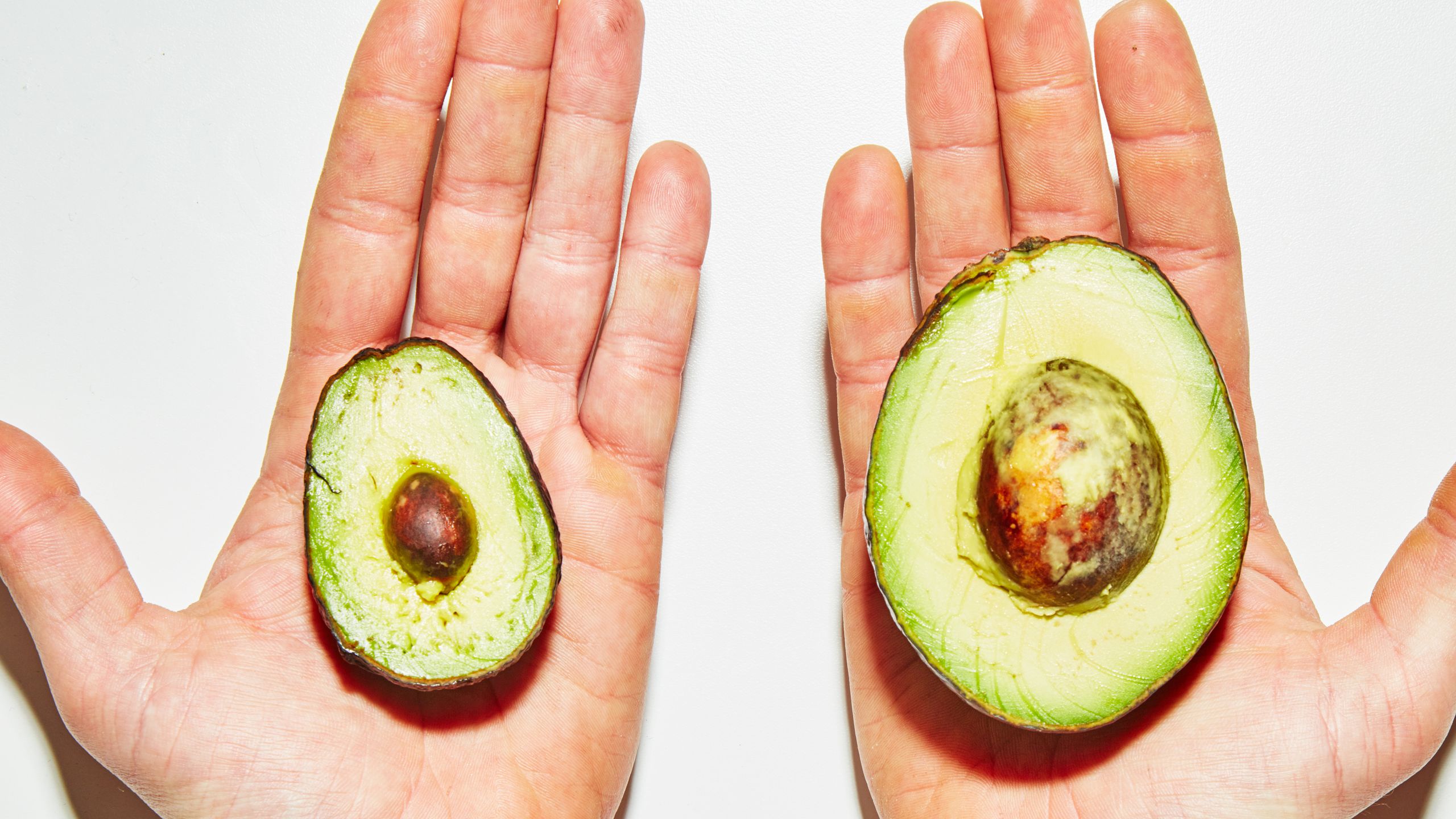 AVOCADO SMALL