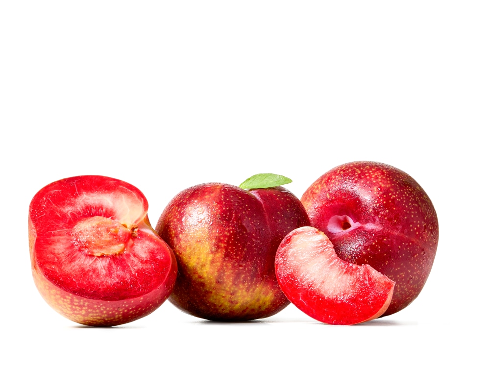 RED PLUM