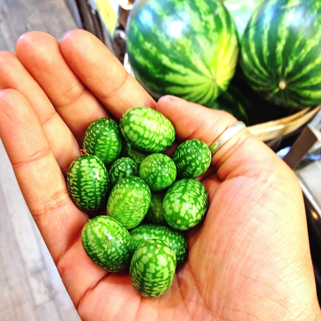 MINI WATERMELON