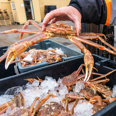 Crab Legs (sold by pound, 1 lb minimum)