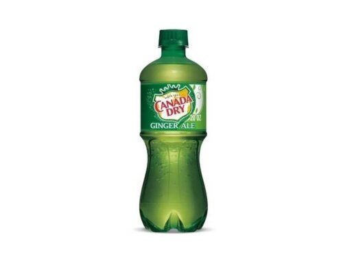 Canada Dry Ginger Ale (20 fl oz)