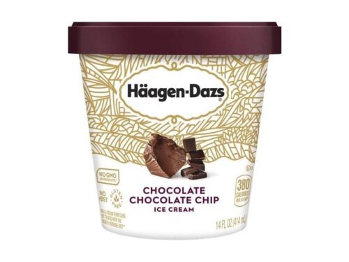 Haagen-Dazs Chocolate Chocolate Chip Ice Cream (14 fl oz)