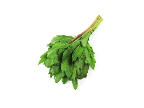 Epazote