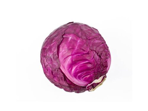 Red Cabbage