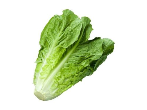 Romaine Lettuce