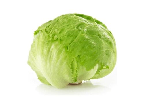 Iceberg Lettuce