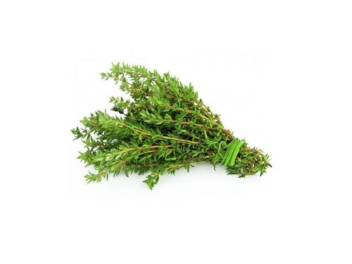 Thyme