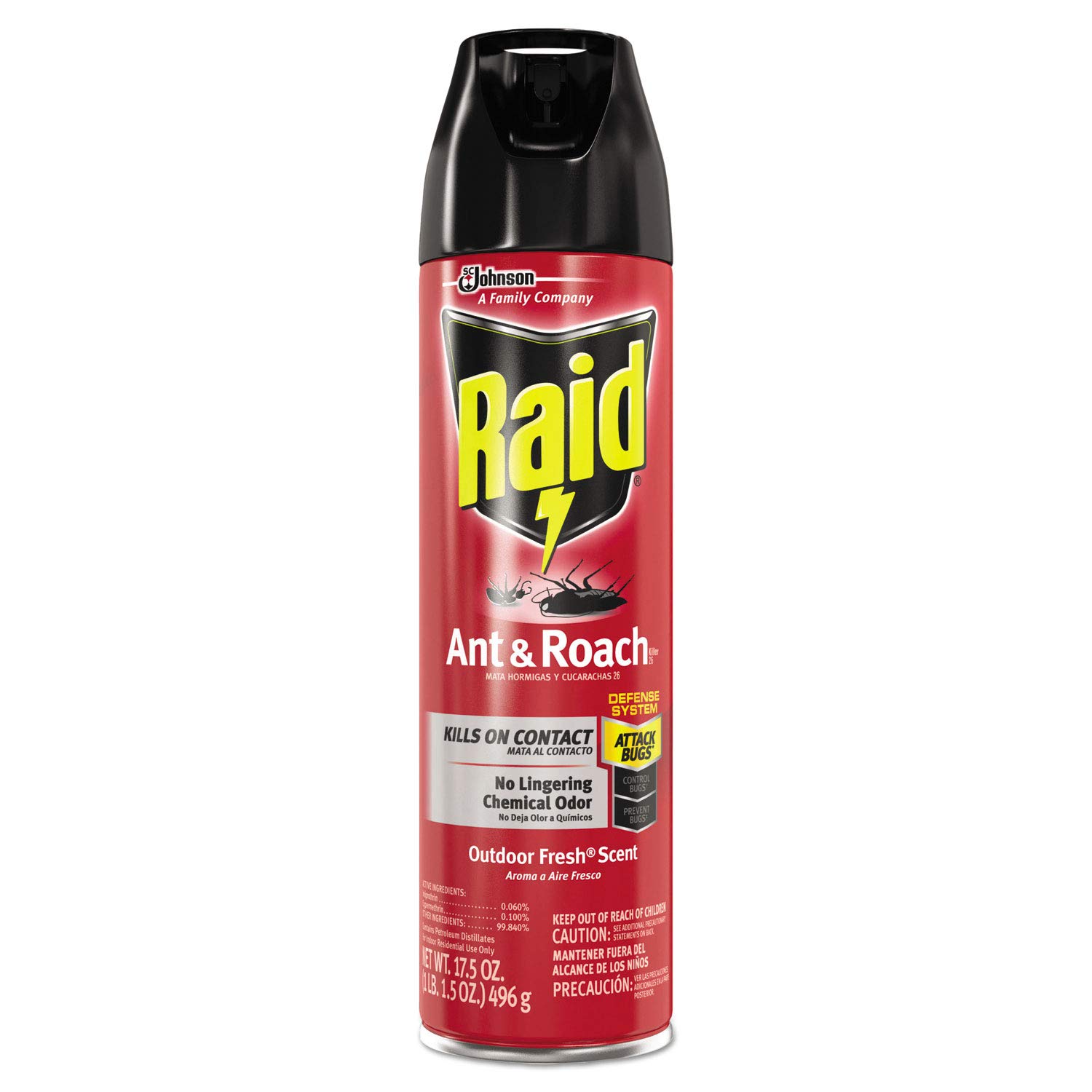 RAID ANT & ROACH 17.5OZ