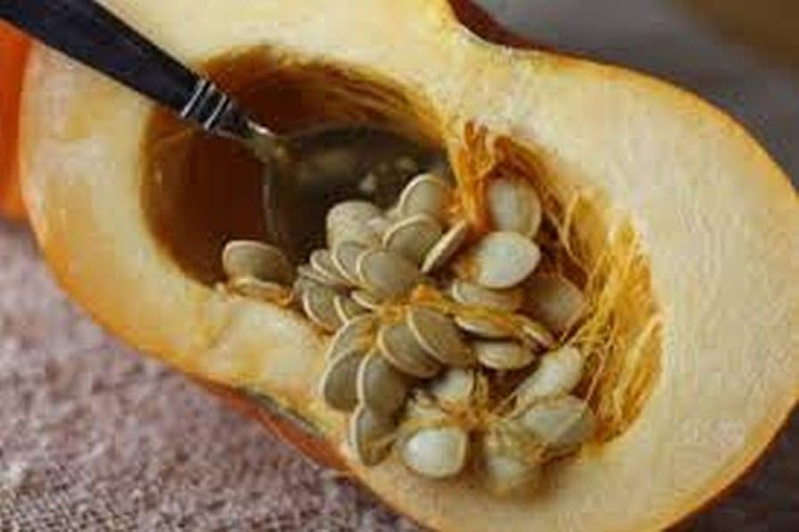 GUMMY BEAR PUMKIN ROASTED SEEDS 4OZ