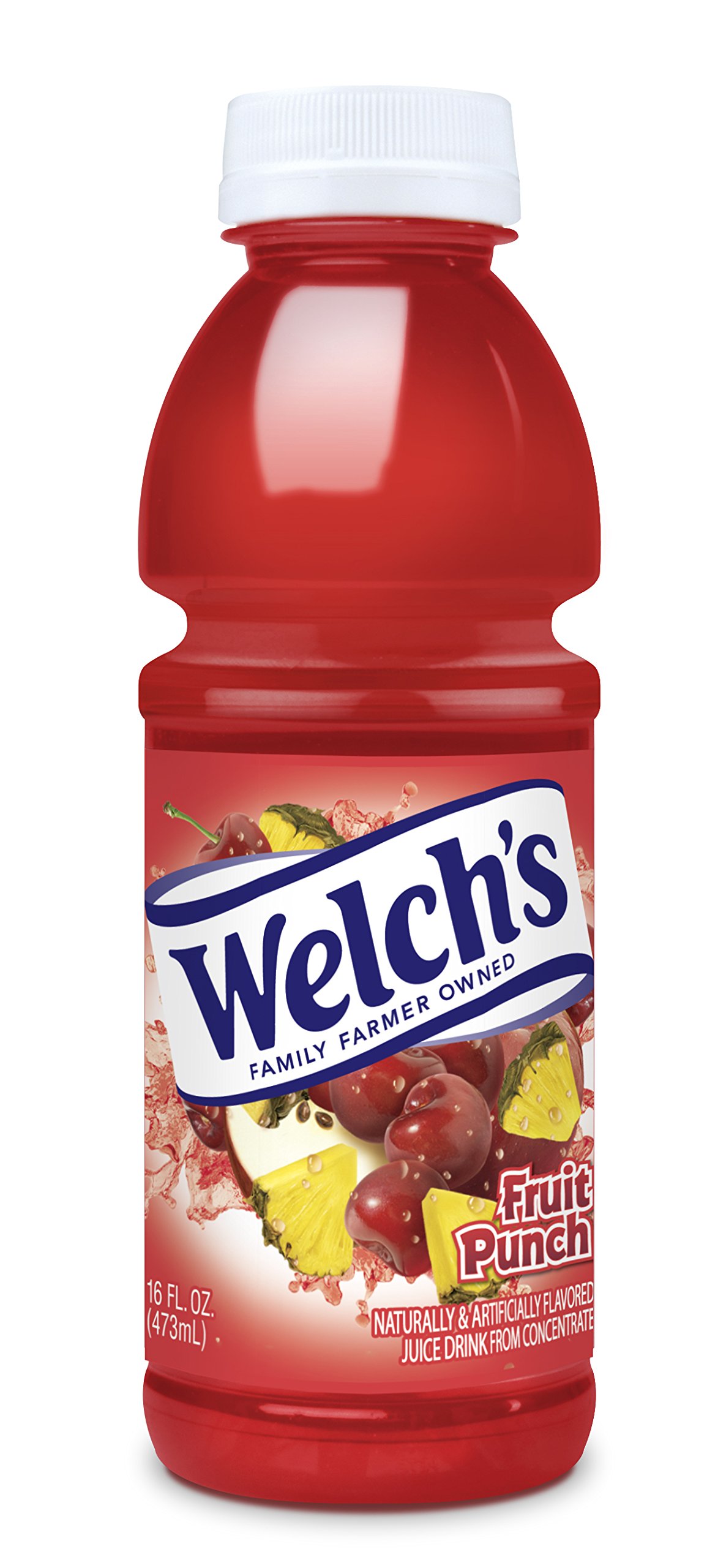 WELCHS FRUIT PUNCH 16OZ