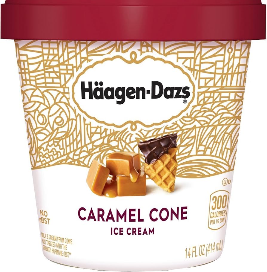 HAAGEN DAZS CARAMEL CONE 14OZ