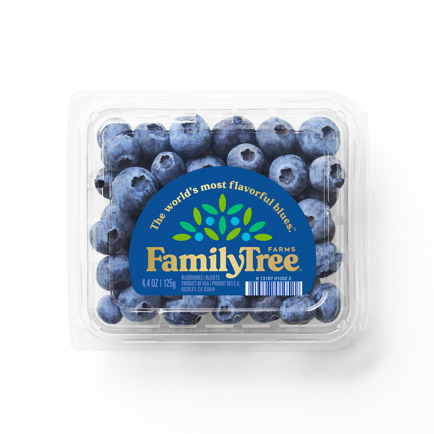 FAMILY TREE BLUEBERRIES