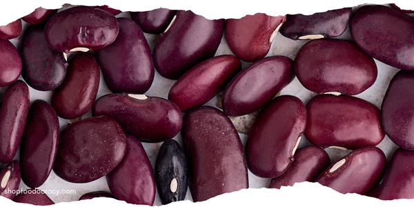 MESOAMERICA RED BEAN