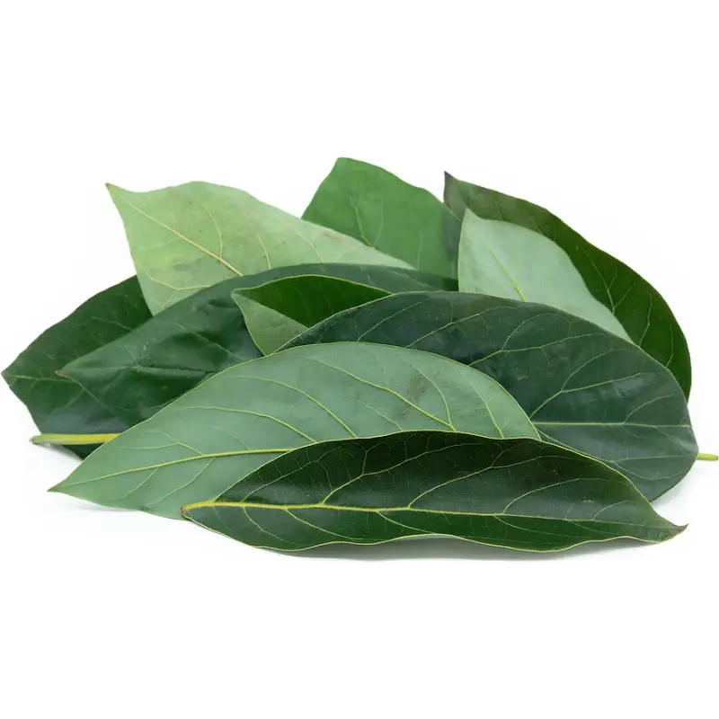 CHULADA AVOCADO LEAVES 1.4OZ