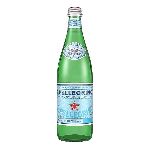 S PELLEGRINO SPARKLING WATER 16.9OZ