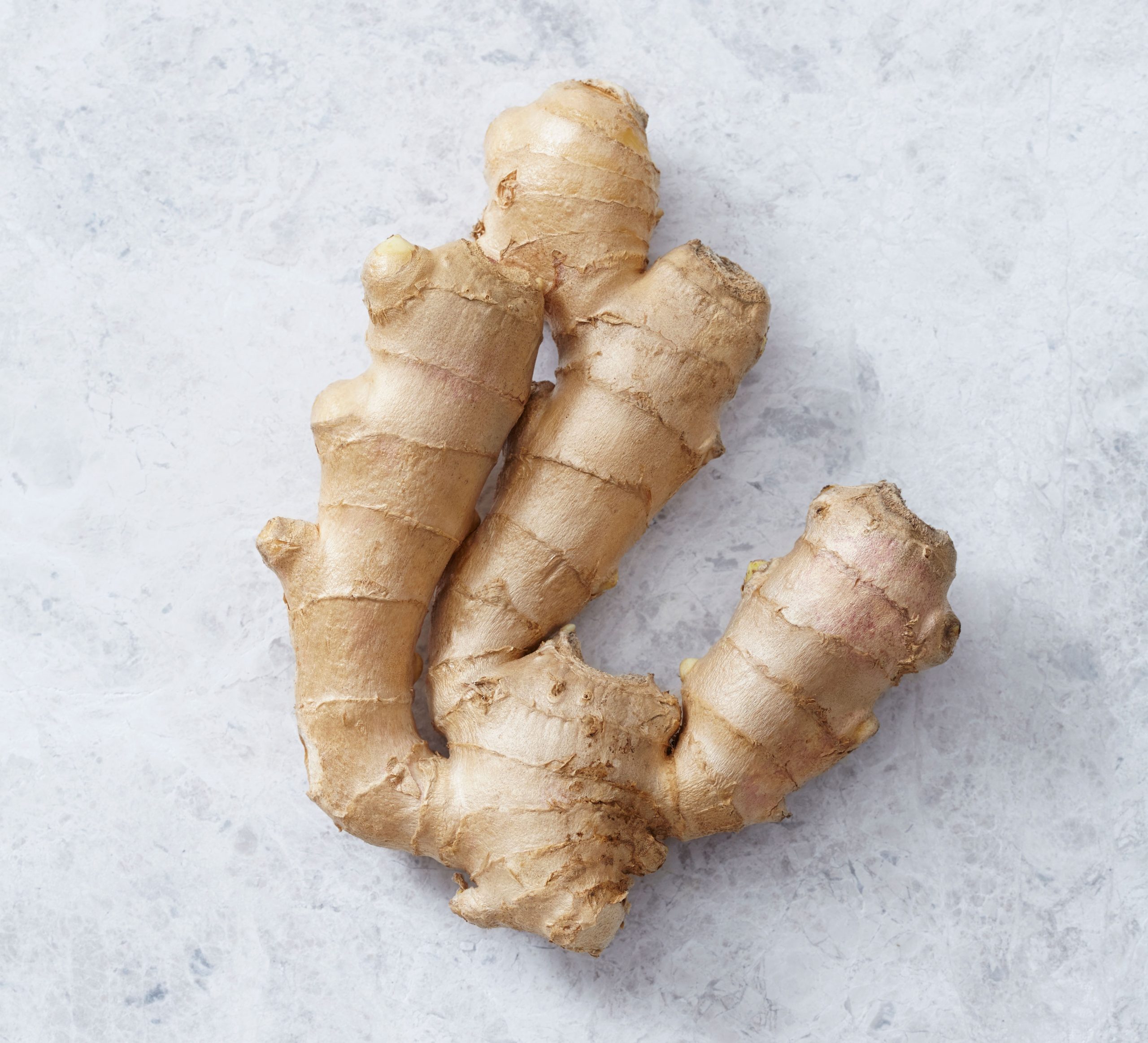 GINGER