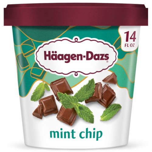 HAAGEN DAZS MINT CHOCOLATE CHIP 14OZ