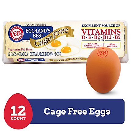 PRODUCERS EGGS LARGE 12P