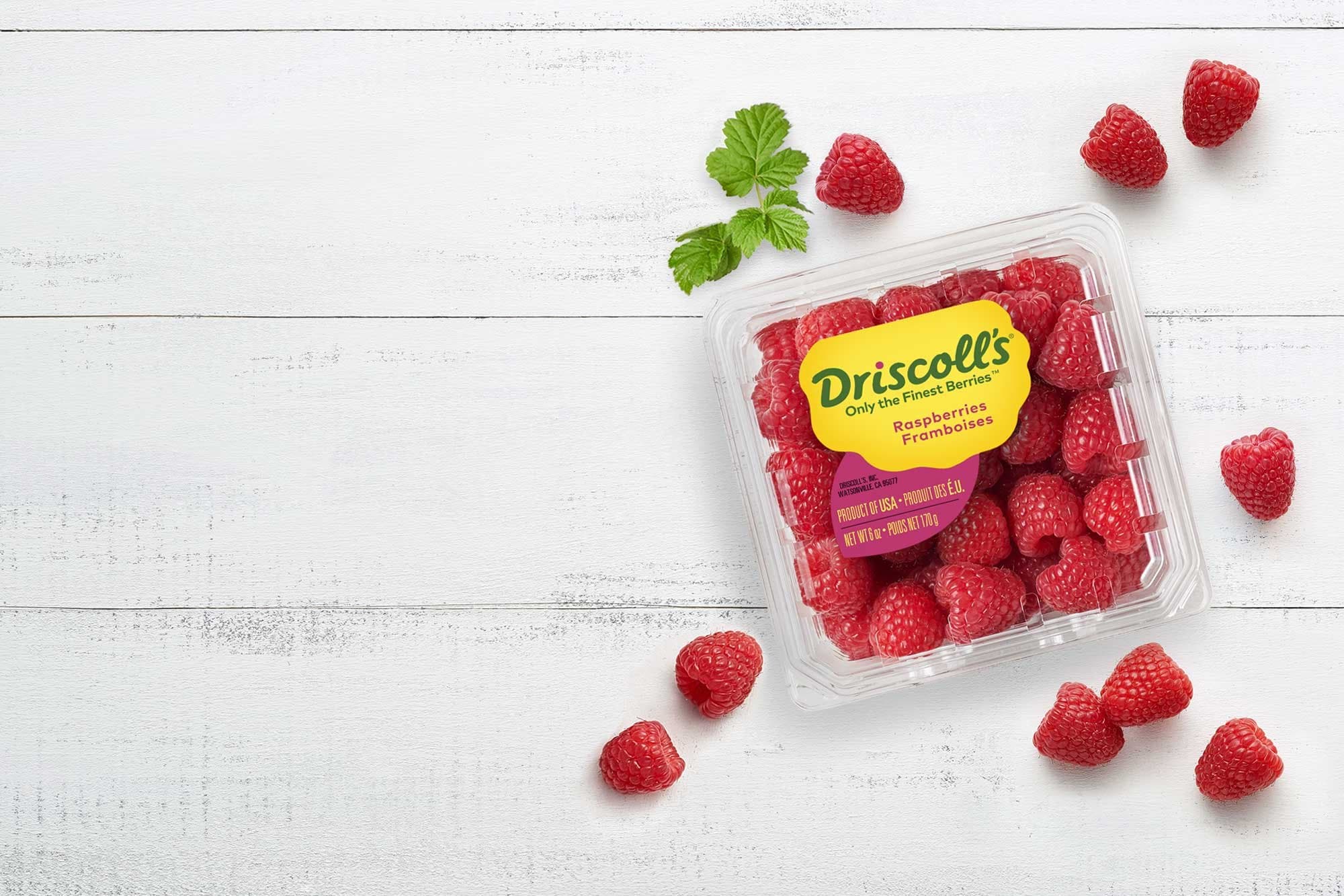 DISCOLLS RASBERRIES