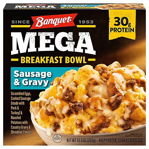 FAMILY MAID MEGA BOWL 10
