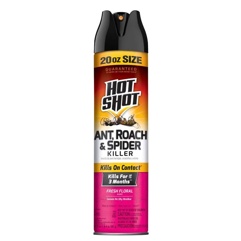 HOT SHOT ANT ROACH & SPIDER KILLER SPRAY 17.5OZ