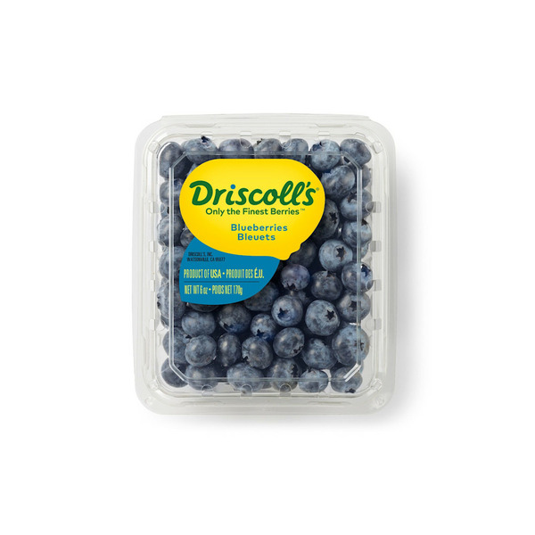 DRISCOLL'S BLUEBERRIS 6 OZ