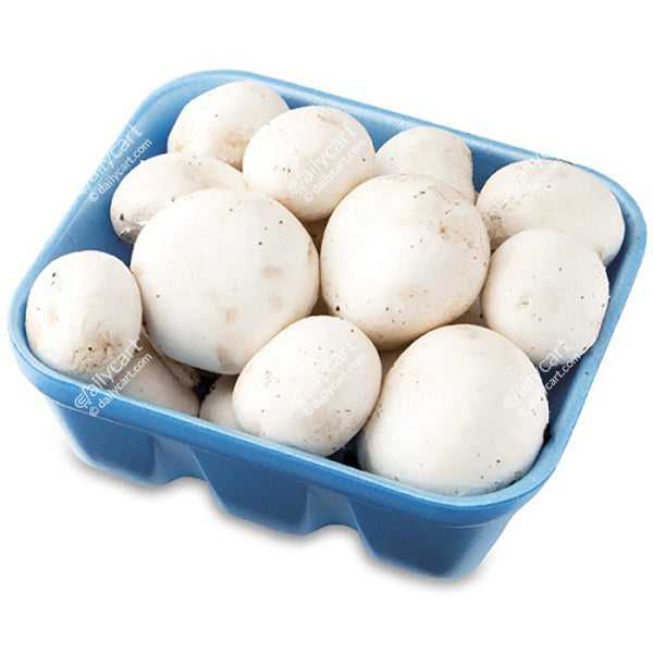 MUSHROOM 8OZ