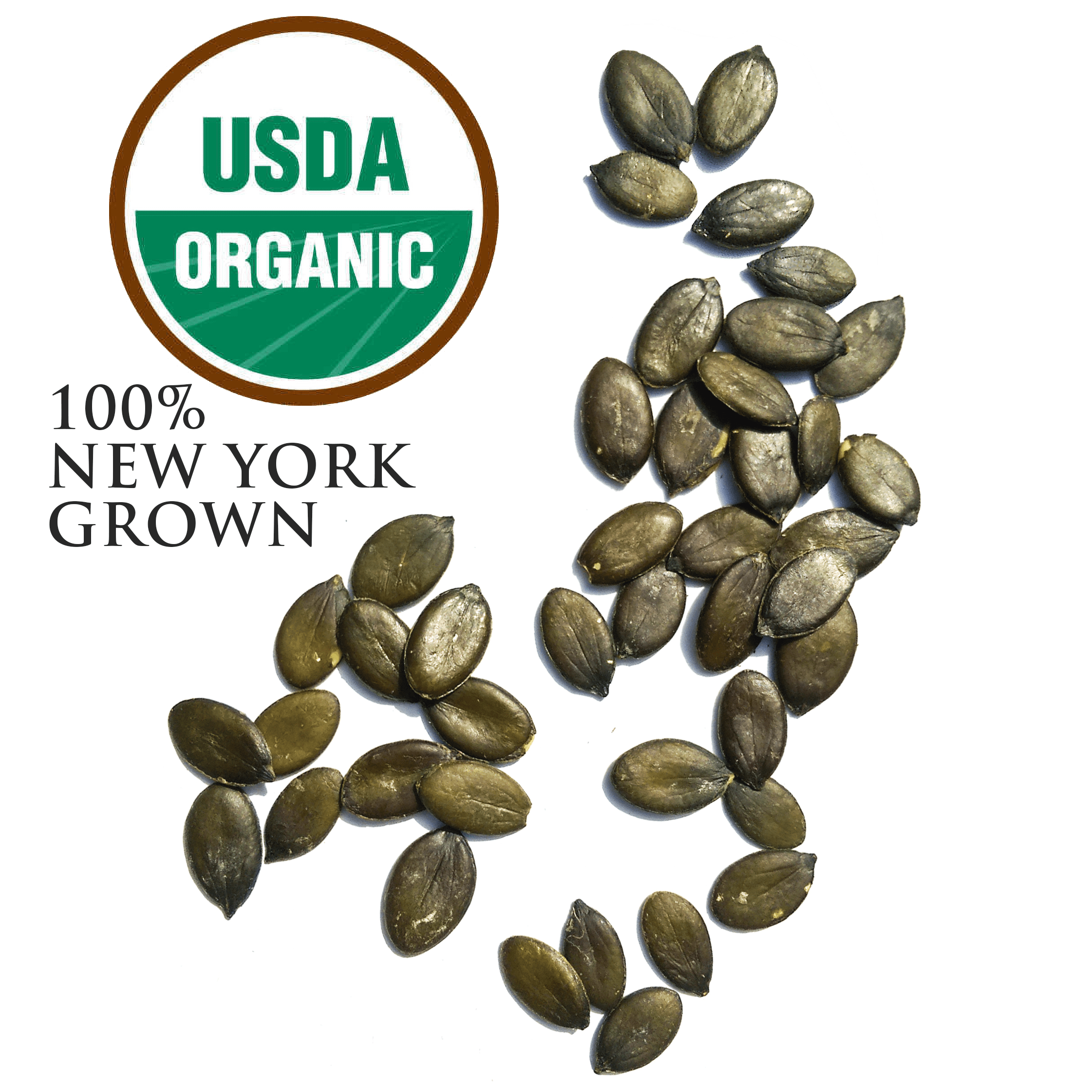 ACEVEDOS PUMPKIN SEED