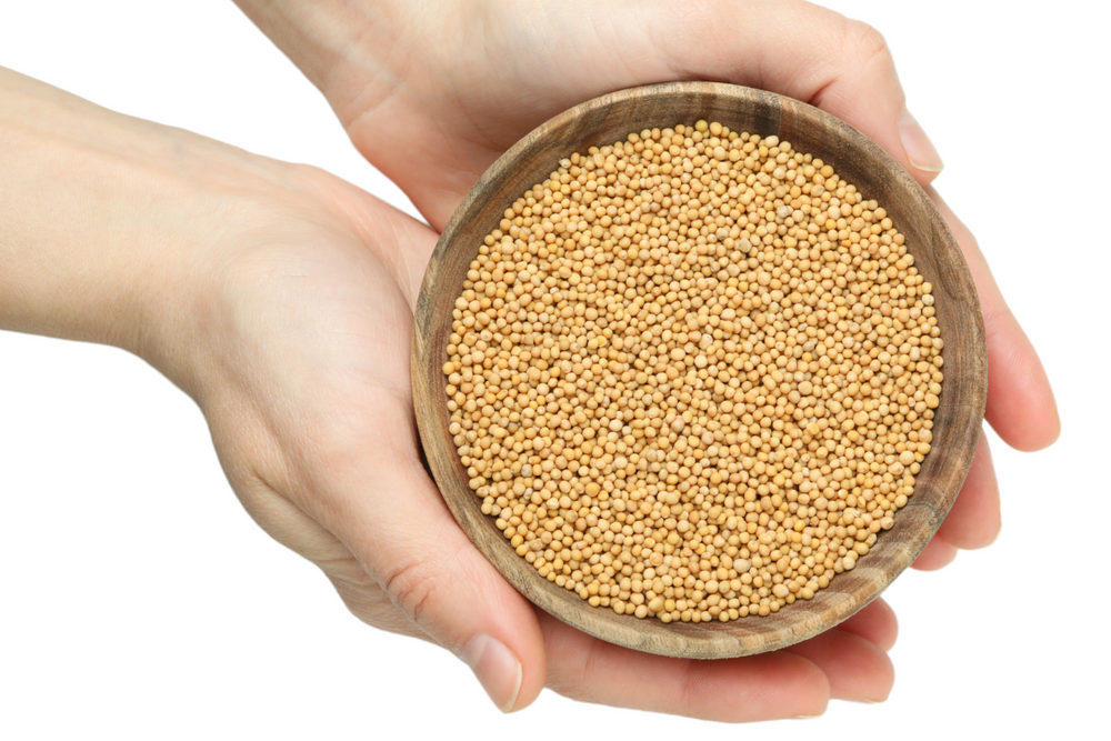 CHULADA MUSTARD SEED 2OZ