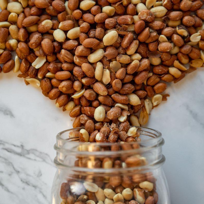 PAISANO PEANUTS ROASTED 14OZ