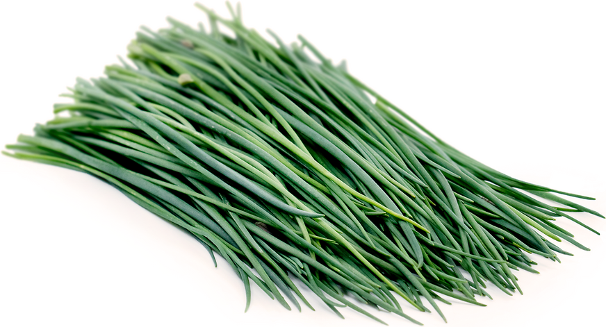 STAINLEY PRODUCE CHIVES