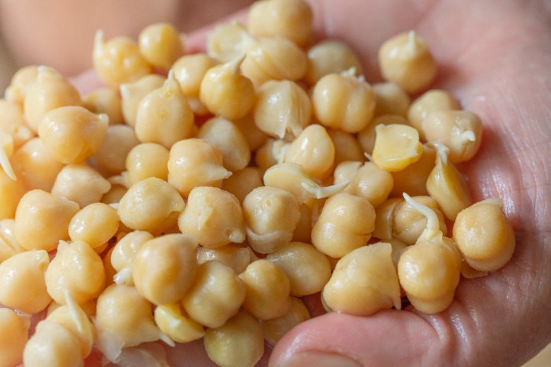 GARBANZO BEAN
