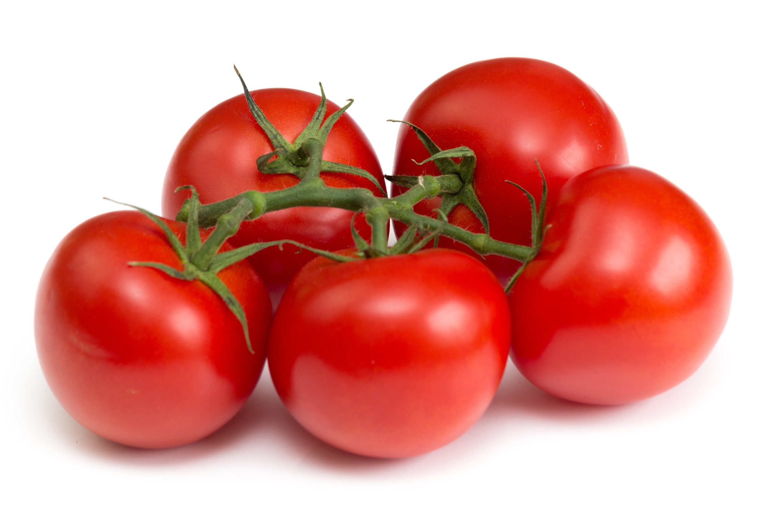 VINE TOMATO