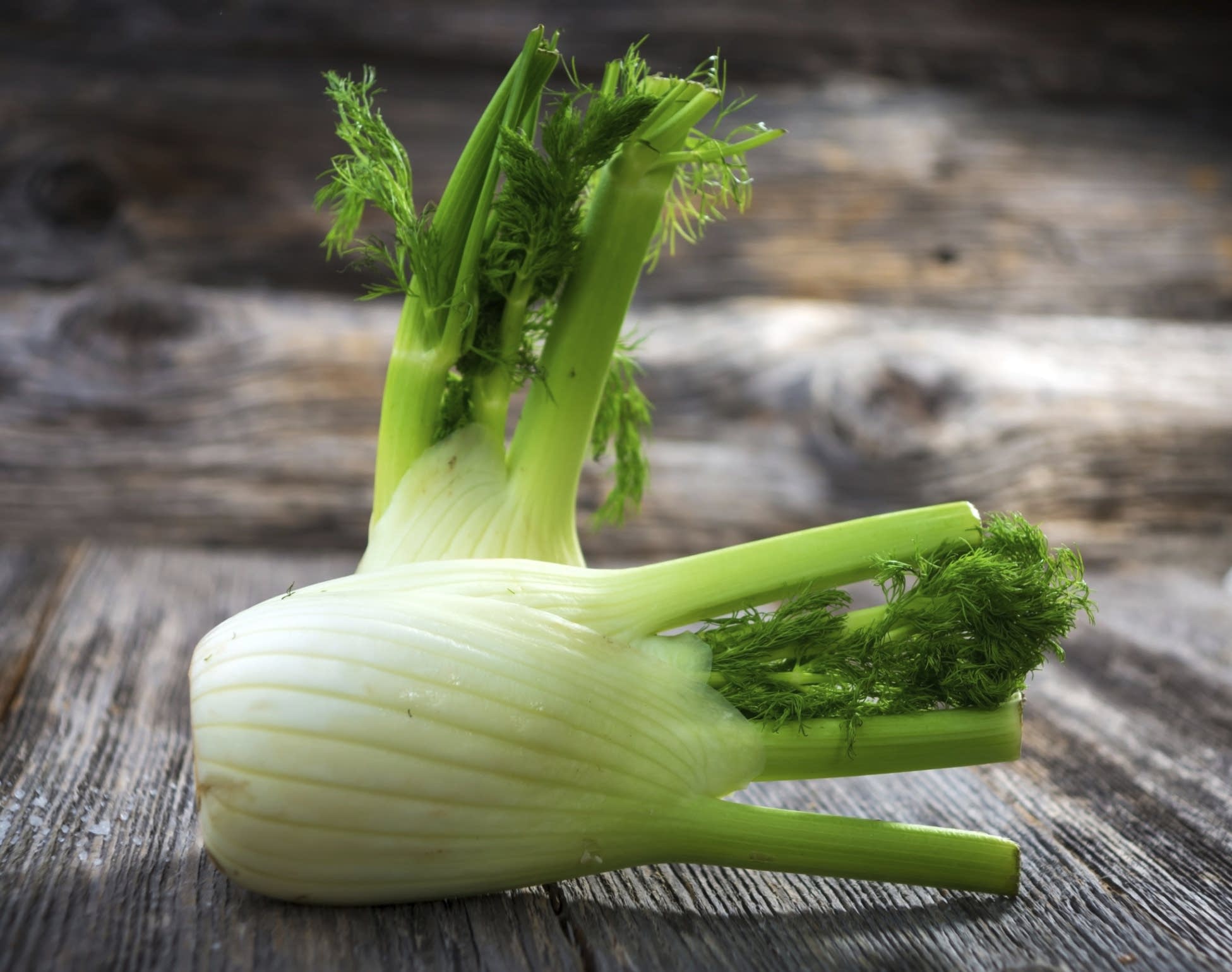 FENNEL ANISE