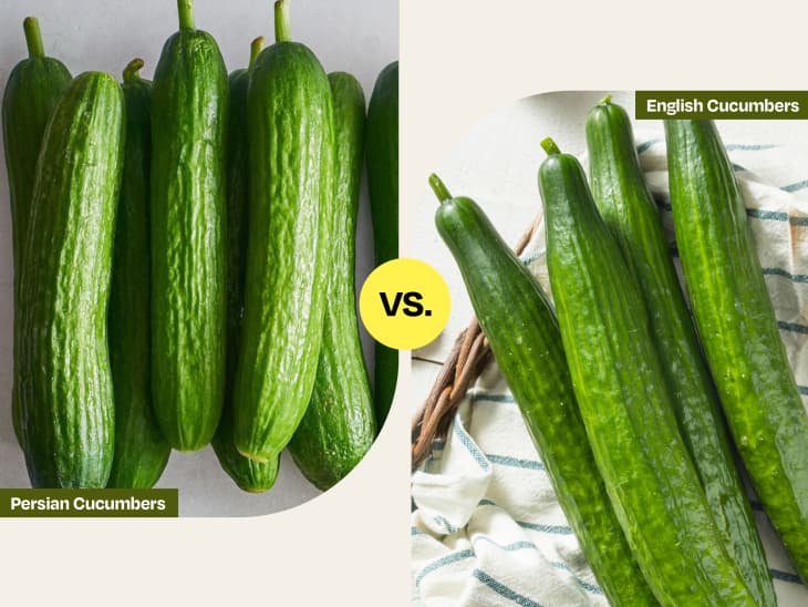 PERSIAN CUCUMBER
