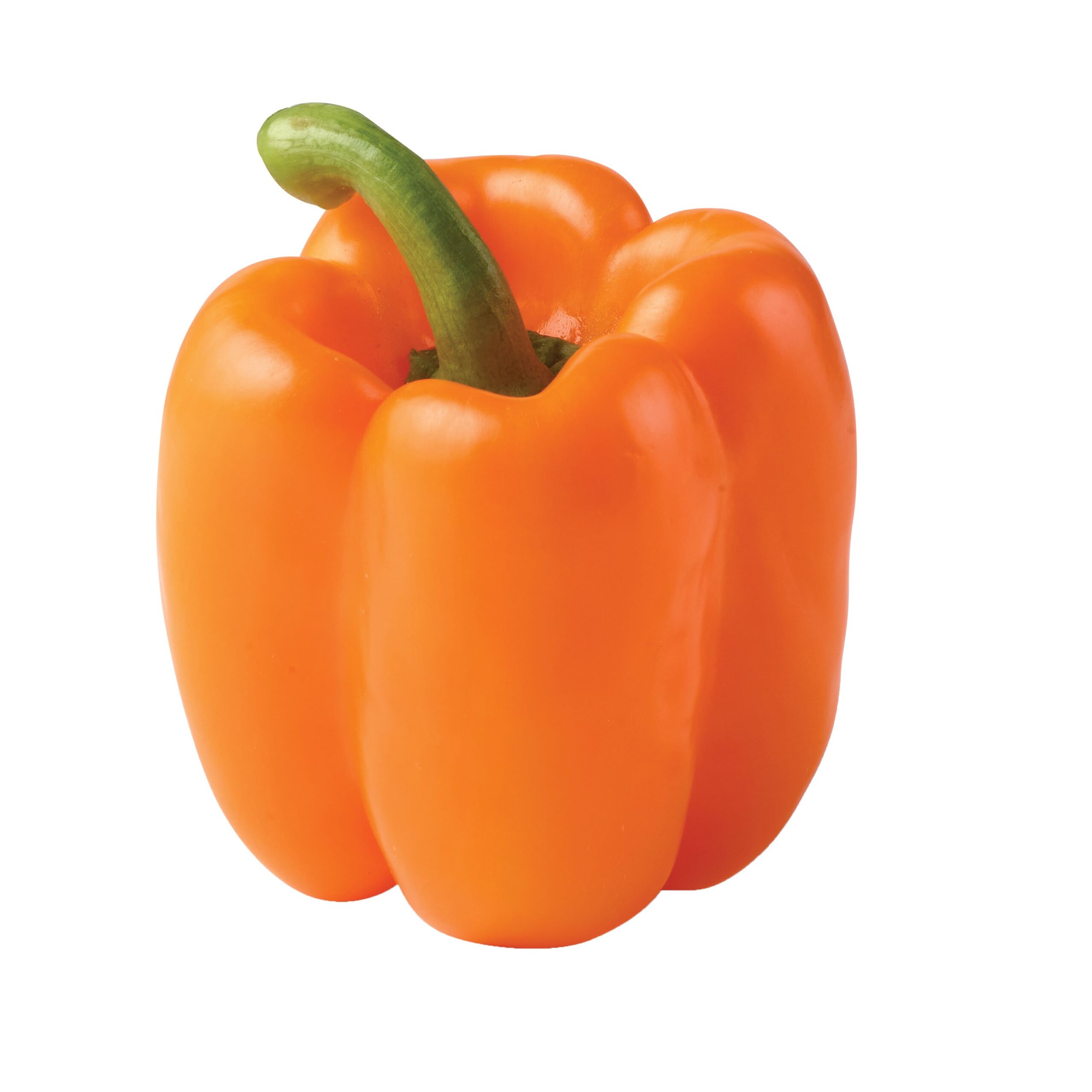 ORANGE BELL PEPPER