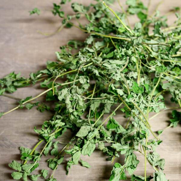 OREGANO LEAVES