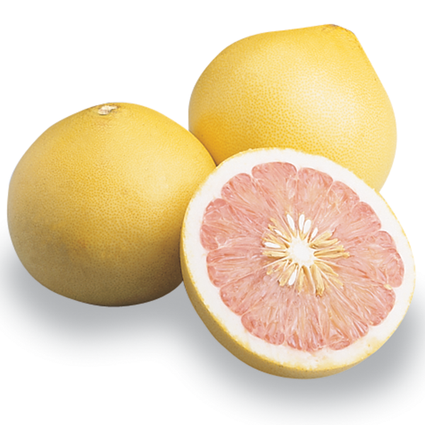PUMMELO