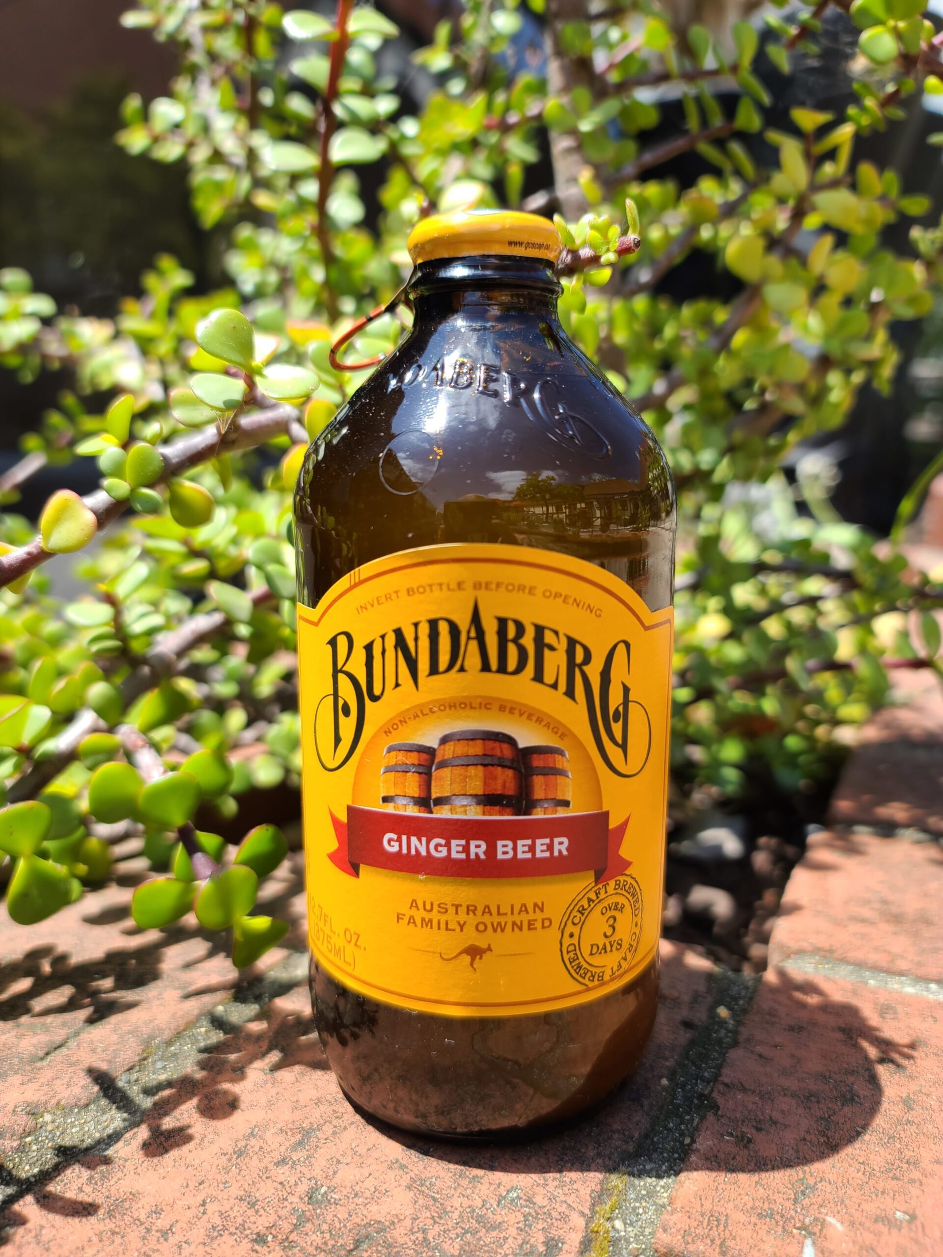 BUNDABERG GINGER BEER