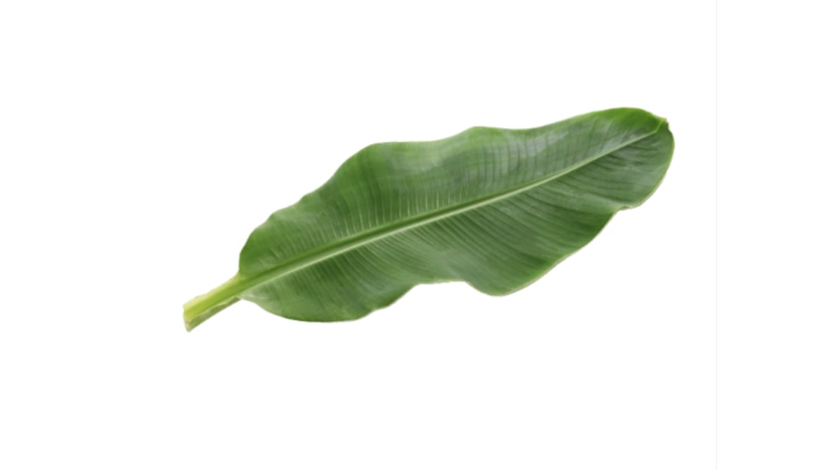 RICHIN BANANA LEAF 16 OZ