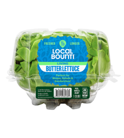LOCAL BOUNTI LIVING BUTTER LETTUCE
