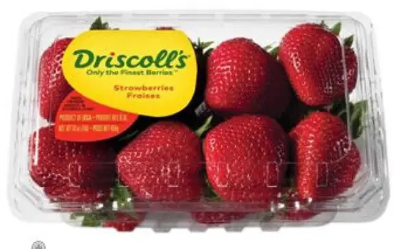 DRISCOLLS STRAWBERRIES 16OZ