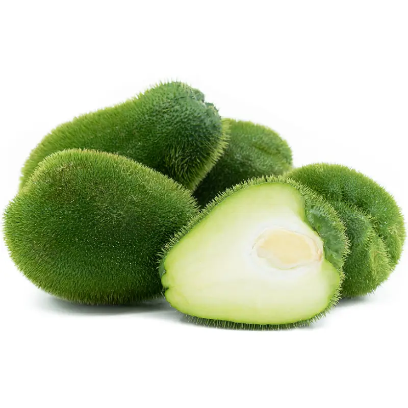 SPIKE CHAYOTE
